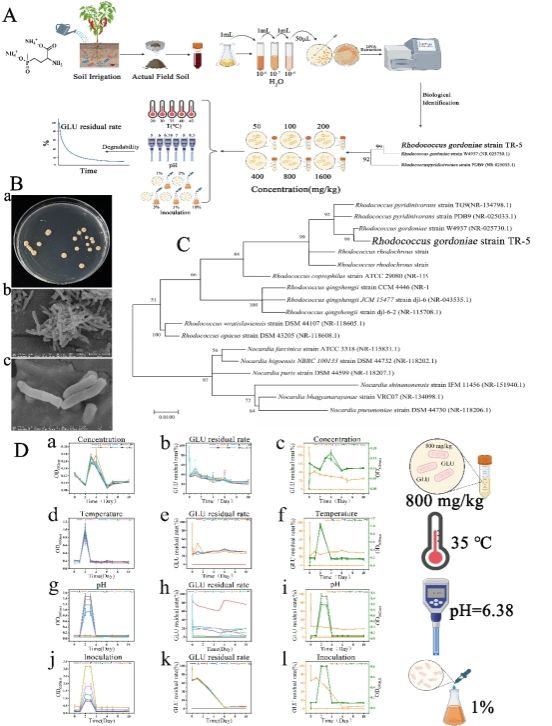 10CD5